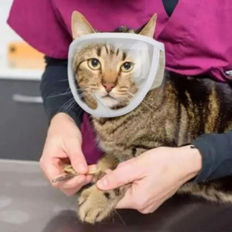 Anti Bite Puppy Kitten Muzzles Mask Pet Product Cat Muzzle Breathable Dogs Cats Bathing Grooming Tools SmartPaws