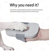 New Dog Nail File Pet Dog Grooming Tools Detachable Claw Grinder Nail Scraper Cat Dogs Board Nail Tools SmartPaws