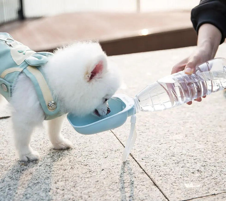 Teddy Portable Drinking Water Bottle SmartPaws