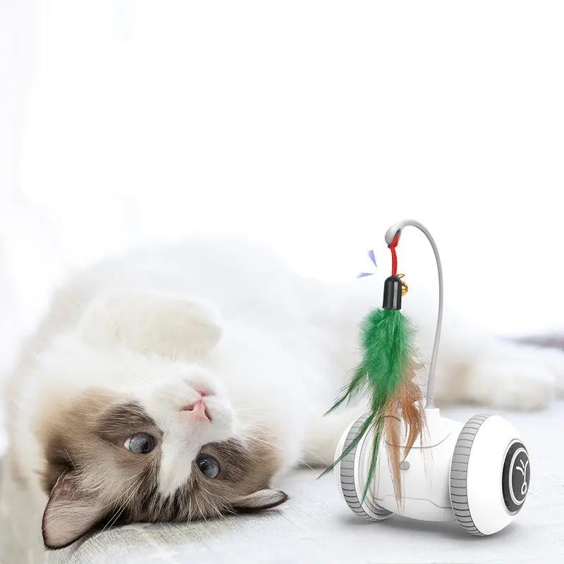 Interactive Cat Toy With Interchangeable Heads  Pet Feather Toys SmartPaws