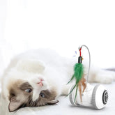Interactive Cat Toy With Interchangeable Heads  Pet Feather Toys SmartPaws