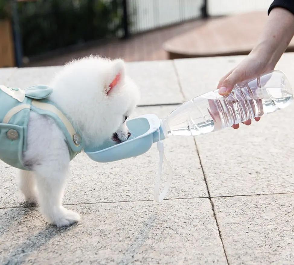 Teddy Portable Drinking Water Bottle SmartPaws