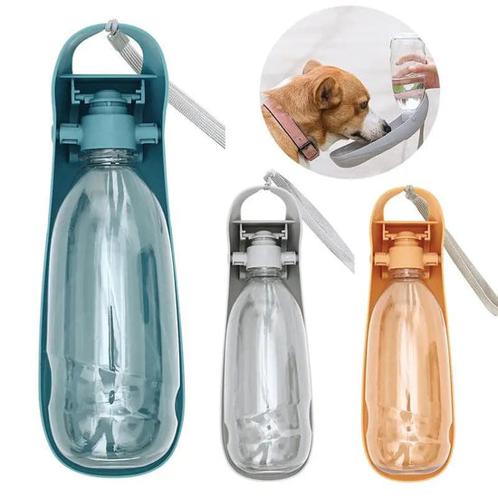 Portable Dog Water Bottle For Small Large Dogs Foldable Lightweight Drinking Bowl Outdoor Travel Walking Running Puppy Supplies SmartPaws