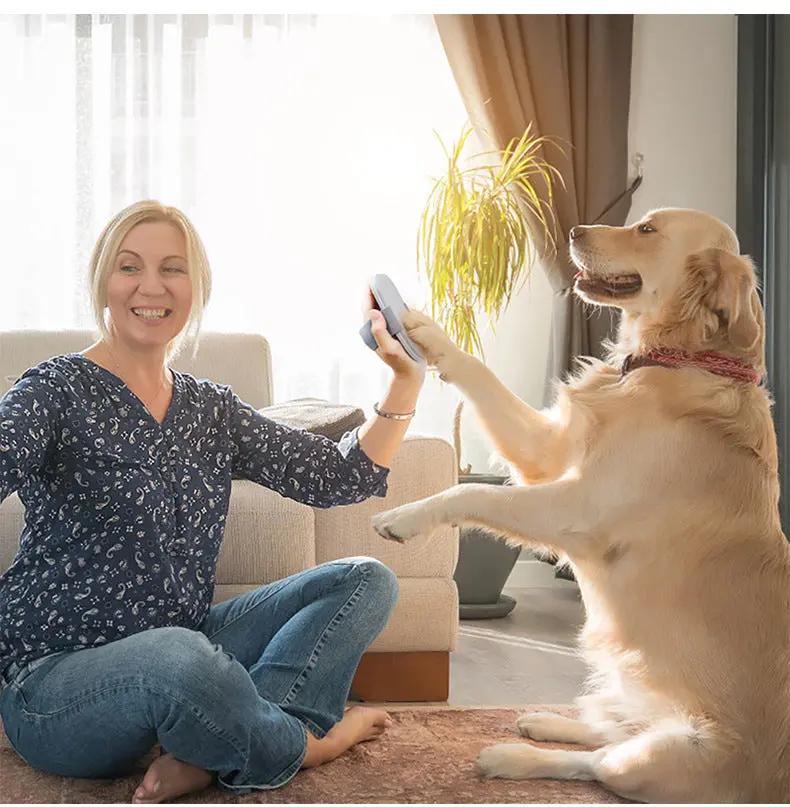 New Dog Nail File Pet Dog Grooming Tools Detachable Claw Grinder Nail Scraper Cat Dogs Board Nail Tools SmartPaws