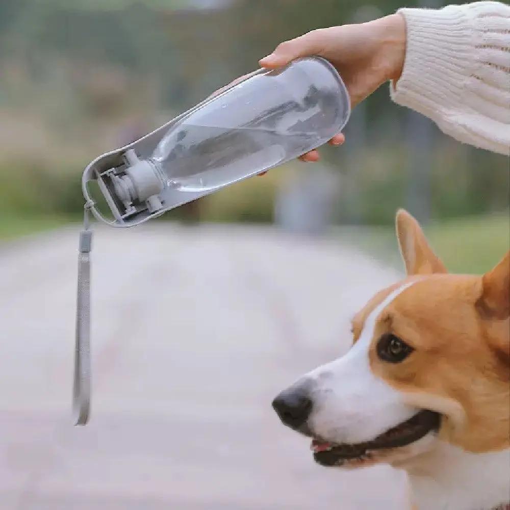 Portable Dog Water Bottle For Small Large Dogs Foldable Lightweight Drinking Bowl Outdoor Travel Walking Running Puppy Supplies SmartPaws