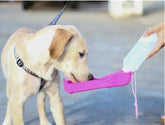 Portable Outdoor Water Feeding For Dogs - SmartPaws