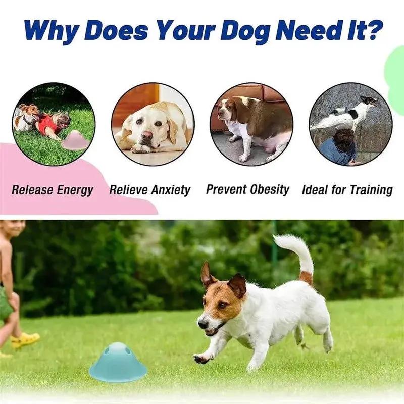 New Dog Chew Toys Dog Interactive Toys Chew Toys Hidden Treats Big Dog Chew Toys Interactive Puzzle Toy Pet Supplies SmartPaws