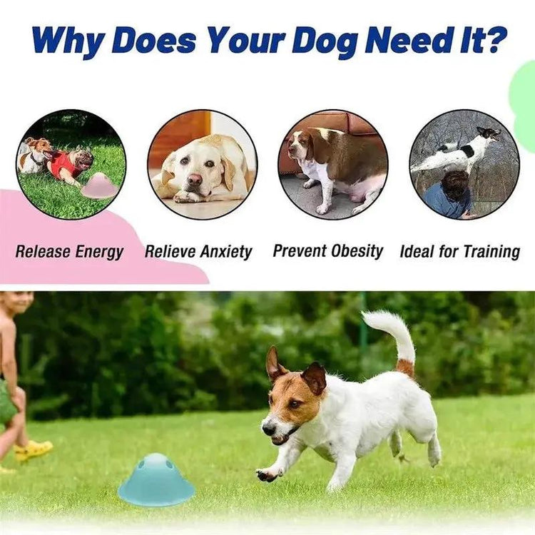 New Dog Chew Toys Dog Interactive Toys Chew Toys Hidden Treats Big Dog Chew Toys Interactive Puzzle Toy Pet Supplies SmartPaws