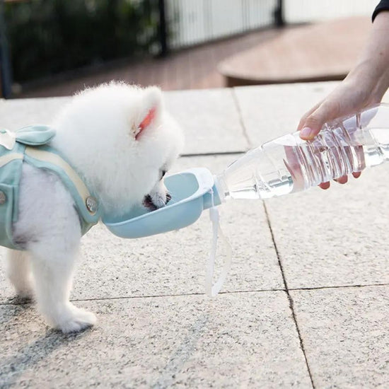 Teddy Portable Drinking Water Bottle SmartPaws