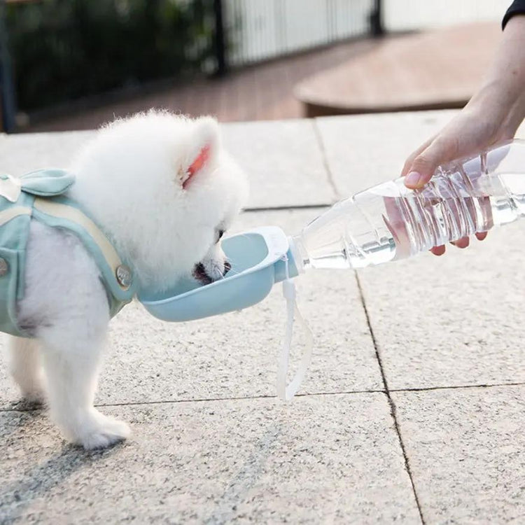 Teddy Portable Drinking Water Bottle SmartPaws